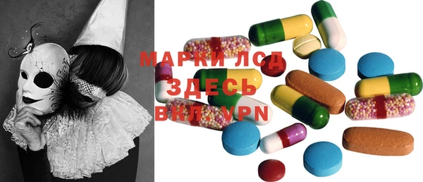 шишки Новодвинск