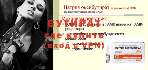 шишки Новодвинск