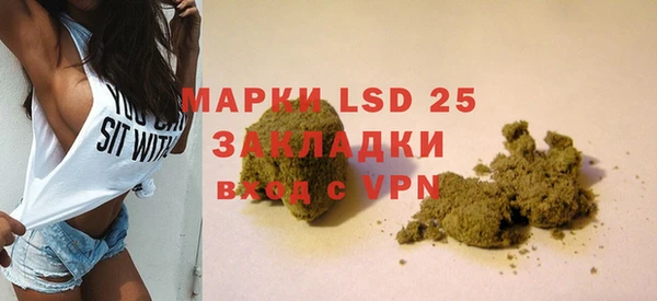 шишки Новодвинск
