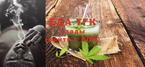 шишки Новодвинск