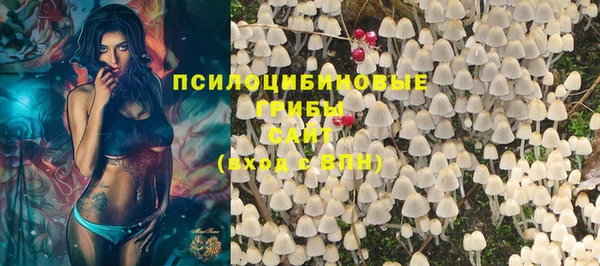 mix Новозыбков