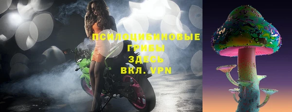 mix Новозыбков