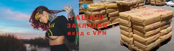 шишки Новодвинск