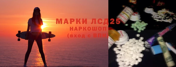 шишки Новодвинск