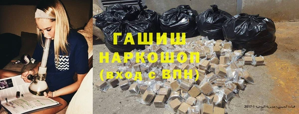 шишки Новодвинск