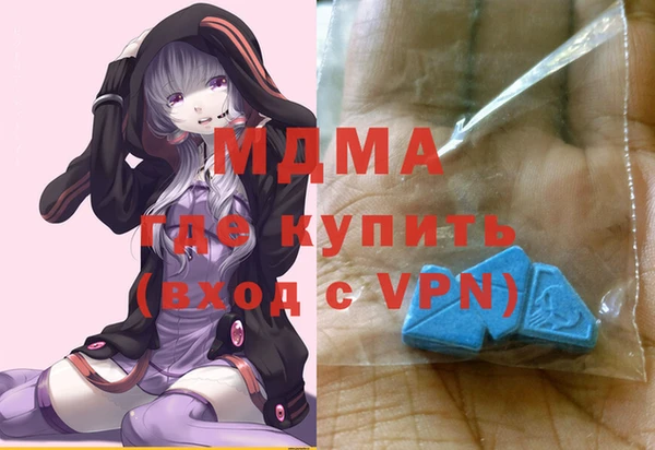 шишки Новодвинск