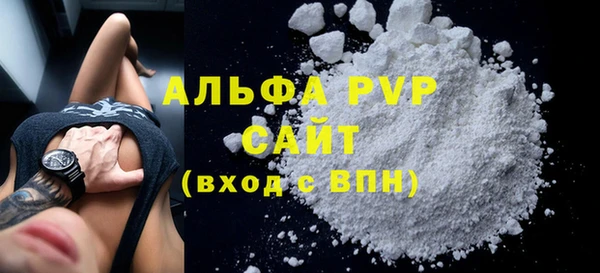шишки Новодвинск