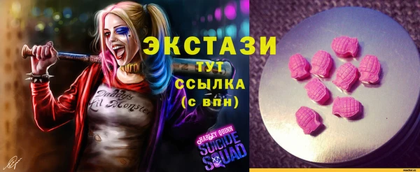 шишки Новодвинск
