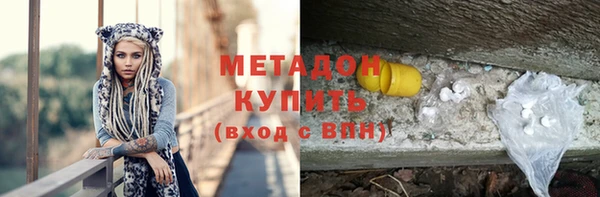 шишки Новодвинск