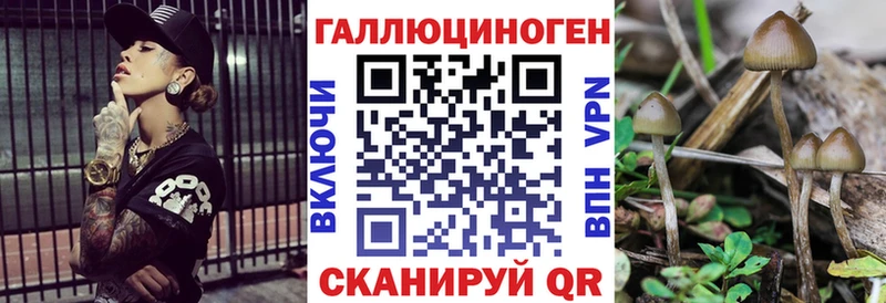 Псилоцибиновые грибы Psilocybe  Ялуторовск 